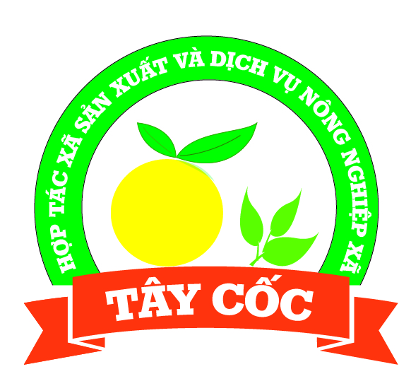 taycoc.com